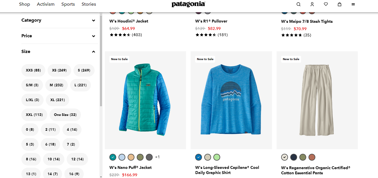 Patagonia's online store