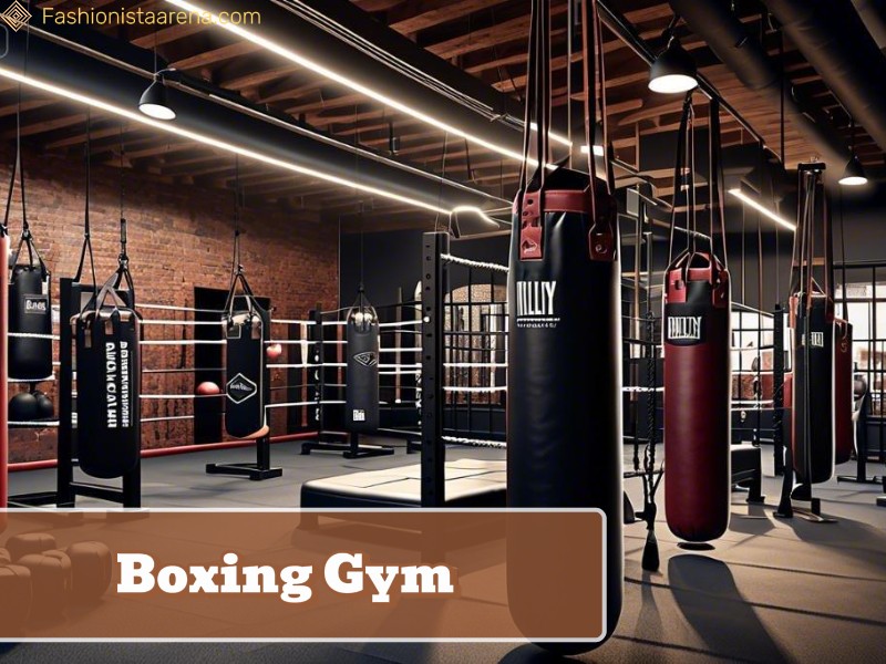 An informative graphic displaying the boxing gyms, emphasizing their facilities and training programs.